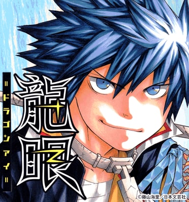 龍眼 ドラゴンアイ