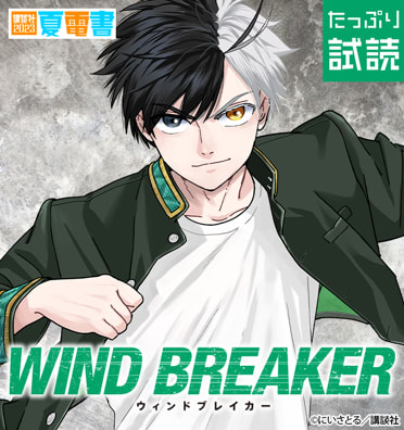 ＷＩＮＤ　ＢＲＥＡＫＥＲ