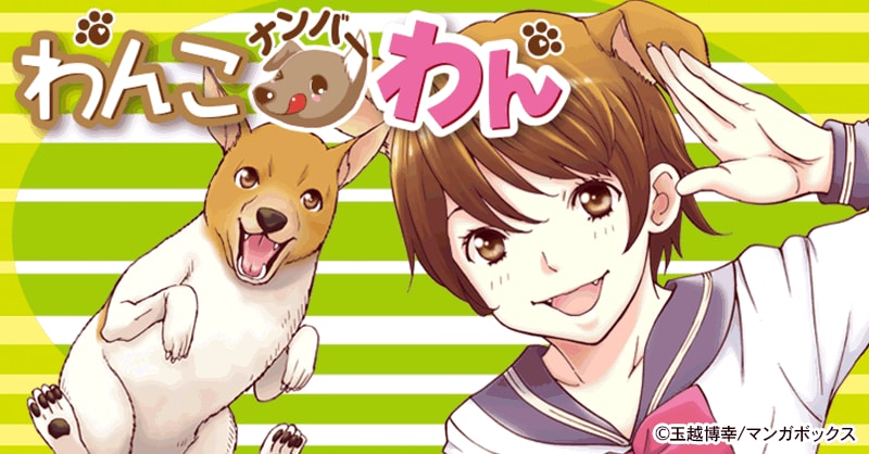 わんこナンバーわん