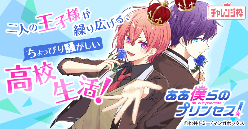 ああ僕らのプリンセス！