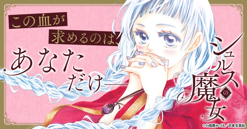 Amazon.co.jp: シュルスの魔女 (11) (ニチブンコミックス